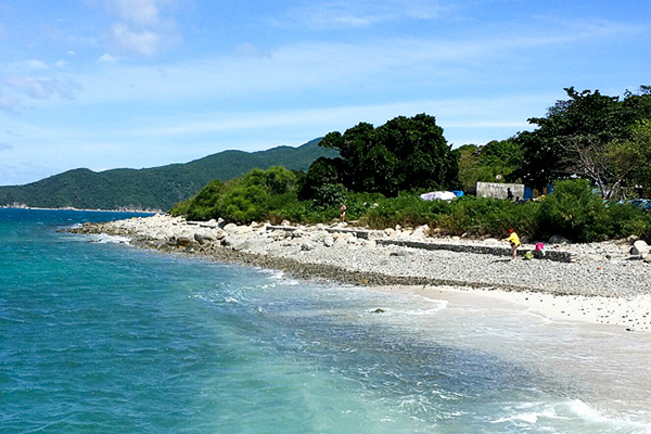 Bãi Tranh Bãi Tranh