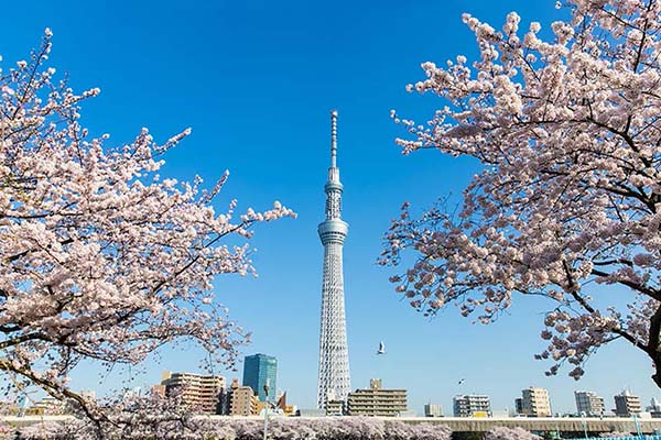 Tháp truyền hình Tokyo Skytree tokyo-skytree