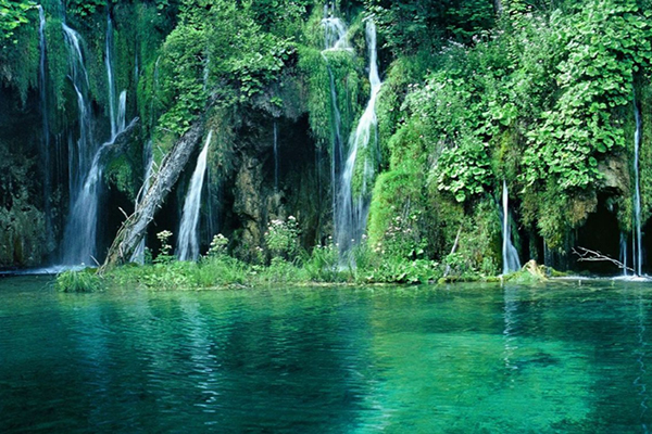 Rừng quốc gia Cúc Phương