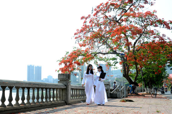 Hải Phòng – Thành phố hoa phượng đỏ